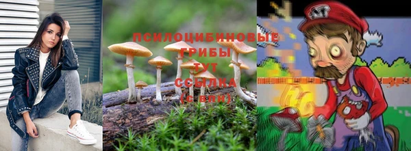 дурь Беломорск