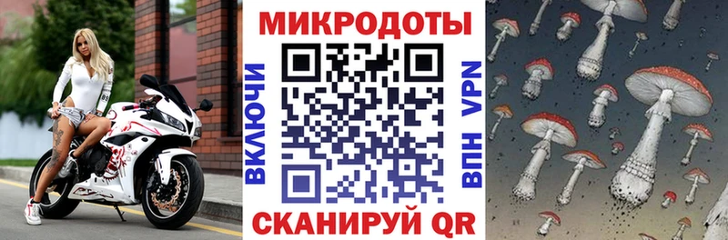 где продают ОМГ ОМГ зеркало Галлюциногенные грибы мицелий Новоалександровск